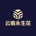 云南永生花供应链