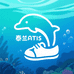 泰兰蒂斯童鞋