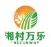 乡村晨羲湘村万乐