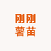 刚刚薯苗