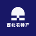 西北农特产