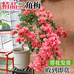 靓园花卉坊