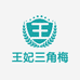 王妃三角梅