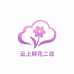 云上鲜花二店