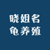 晓姐名龟养殖