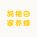 胡楊自家养蜂场