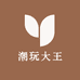 潮玩大王