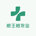 橙王橙农业
