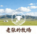 老张的牧场