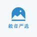 毅音严选