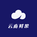 云南鲜果优品小店
