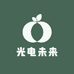 光电未来