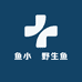 鱼小鱻野生鱼