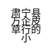 大美水貂服饰