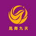 鳳舞九天diy