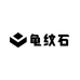 小覃龟纹石