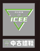 Icee中古球鞋