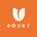 小新又来了