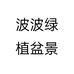 波波绿植盆景的店铺头像