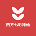 四方七彩神仙鱼批发零售
