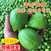 广东增庆水果店