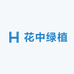 花中绿植