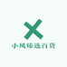 小风臻选百货