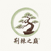 荆棘之巅盆景