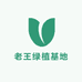 老王绿植基地甄选