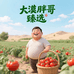 大漠胖哥蔬果臻选