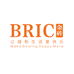 金砖BRIC缝纫机
