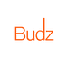 BUDZ严选铺