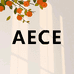 AECE美妆甄选店