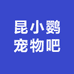 昆小鹦宠物