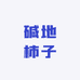 盘锦六六碱地柿子