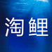 淘鲤水族企业店