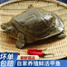 安徽北极淡水水产