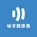 柚子甄选集