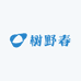 树野春武夷山岩茶