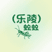 乐陵宁津野生蛐蛐yan