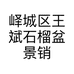 峄城区王斌石榴盆景销售中心的小店个体店