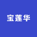 宝莲华企业店