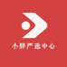 小胖严选中心