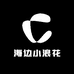 海边小浪花