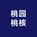 桃源桃核手串