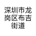 深圳市龙岗区布吉街道绿色衣族服装店的小店个体店