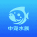 中宠水族金晶超白鱼缸厂家