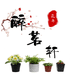 醉茗轩花卉