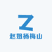 赵姐杨梅山