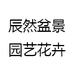 辰然盆景园艺花卉